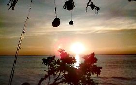 Green Sun
